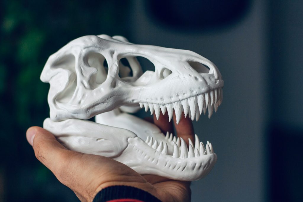 Hand holding a 3D printed dinosaur skull model showing typical PLA layer detail